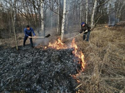 В Павловском муниципальном округе введён особый противопожарный режим