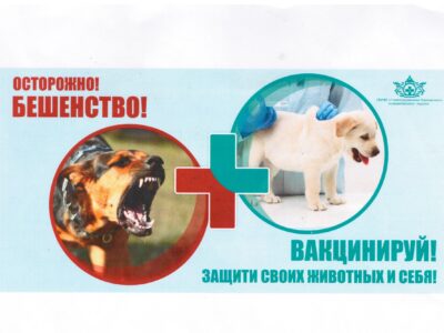 В Ворсме бесплатно вакцинируют животных