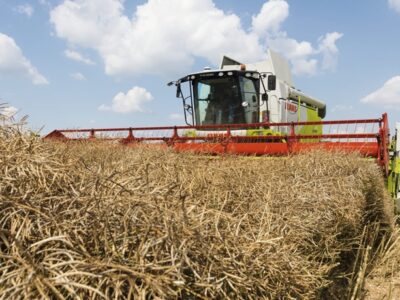 Аграрии прибавляют: сельхозпродукции в Нижегородской области произвели больше