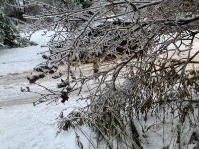 Чрезвычайная ситуация объявлена в Павловском округе: всё из-за ледяного дождя