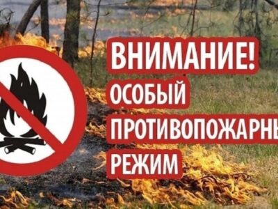 Шашлык не готовим, костры не жжём! В Нижегородской области – особый противопожарный режим